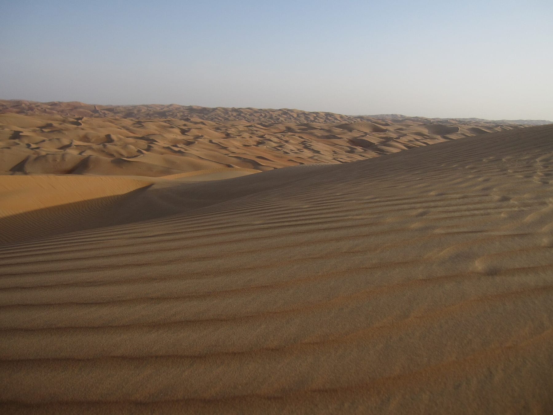Rippled sand dunes stretching to the horizon near Liwa Oasis in the Empty Quarter