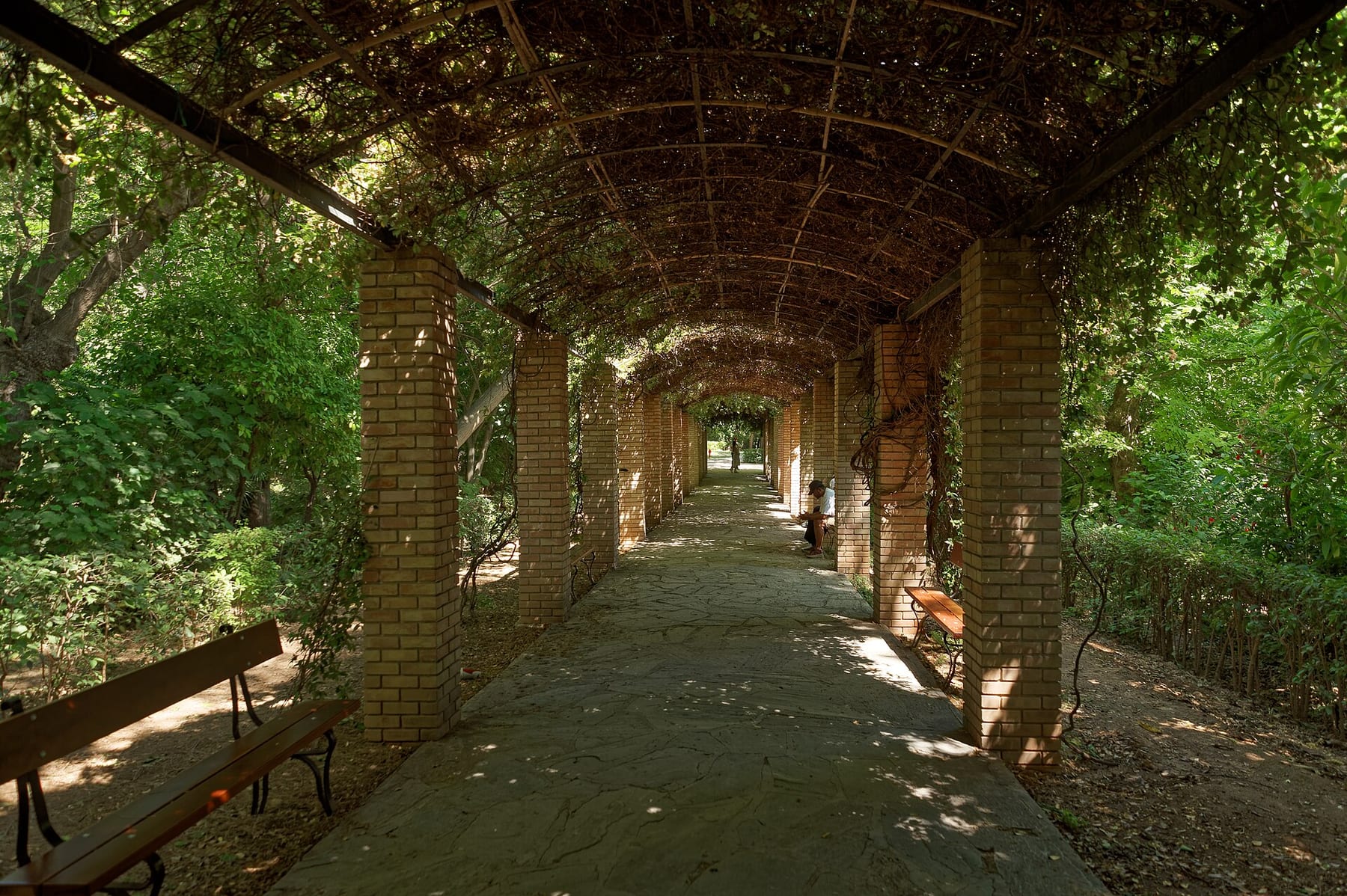 A shaded pergola walkway with brick pillars and climbing vines in the National Garden of Athens