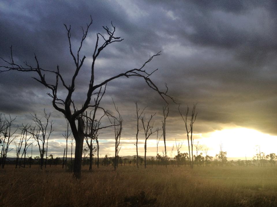 Red-dirt Australian outback landscape at dusk in Queensland