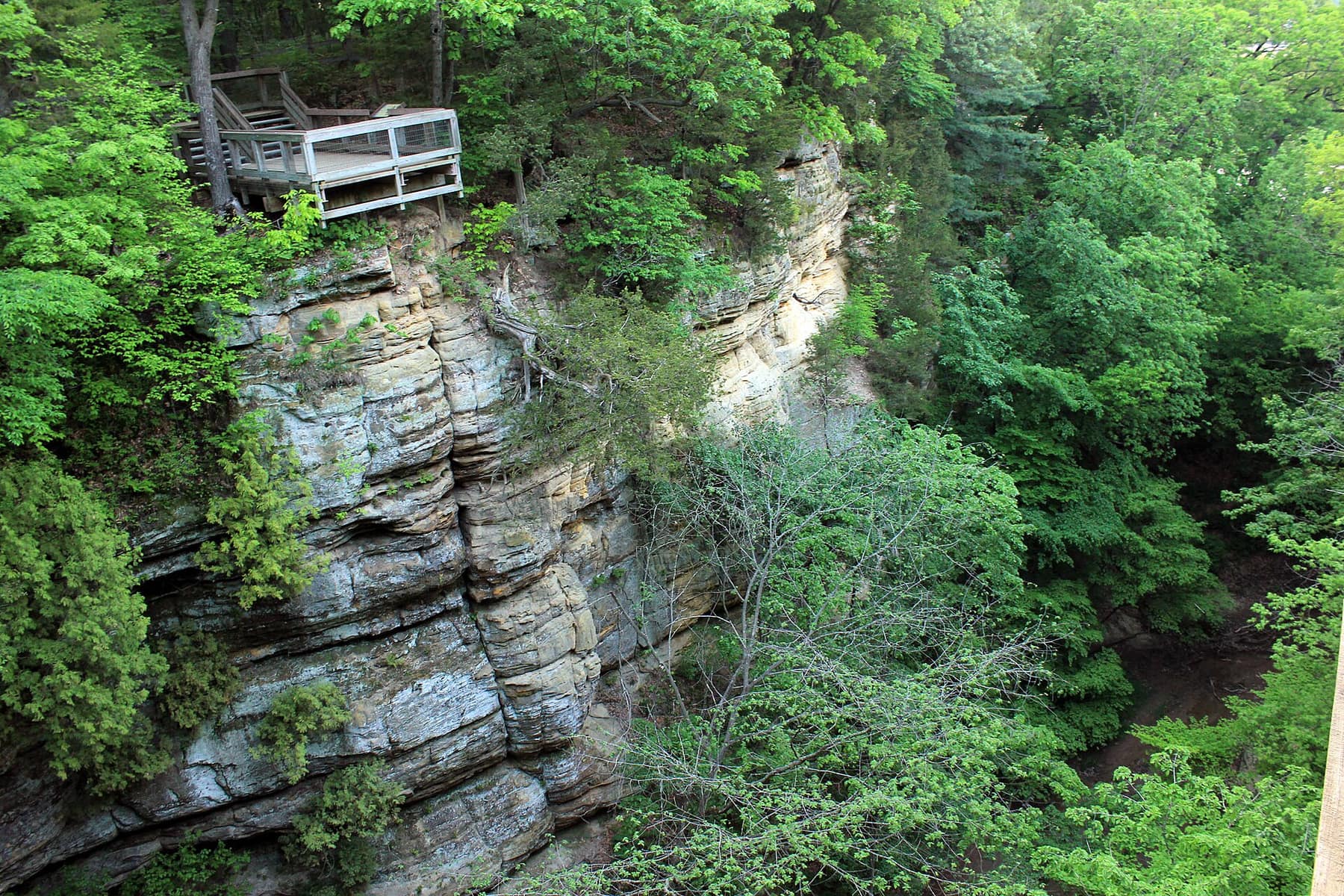 A sandstone canyon wall with a wooden overlook among green trees at Starved Rock State Park