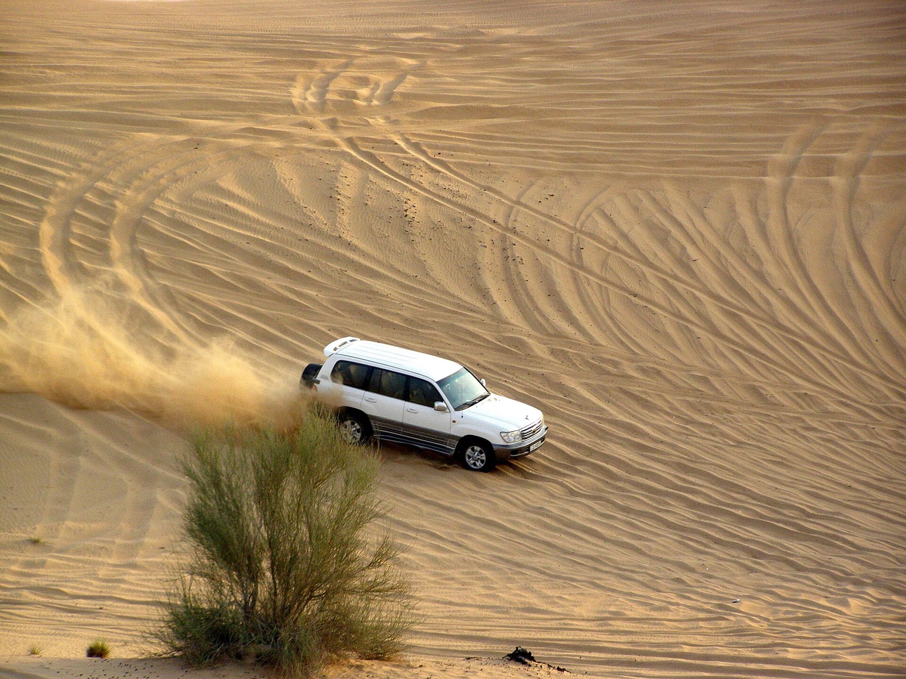 A white four-wheel-drive vehicle driving across a sand dune in the Dubai desert, the dune drive at the heart of an evening safari
