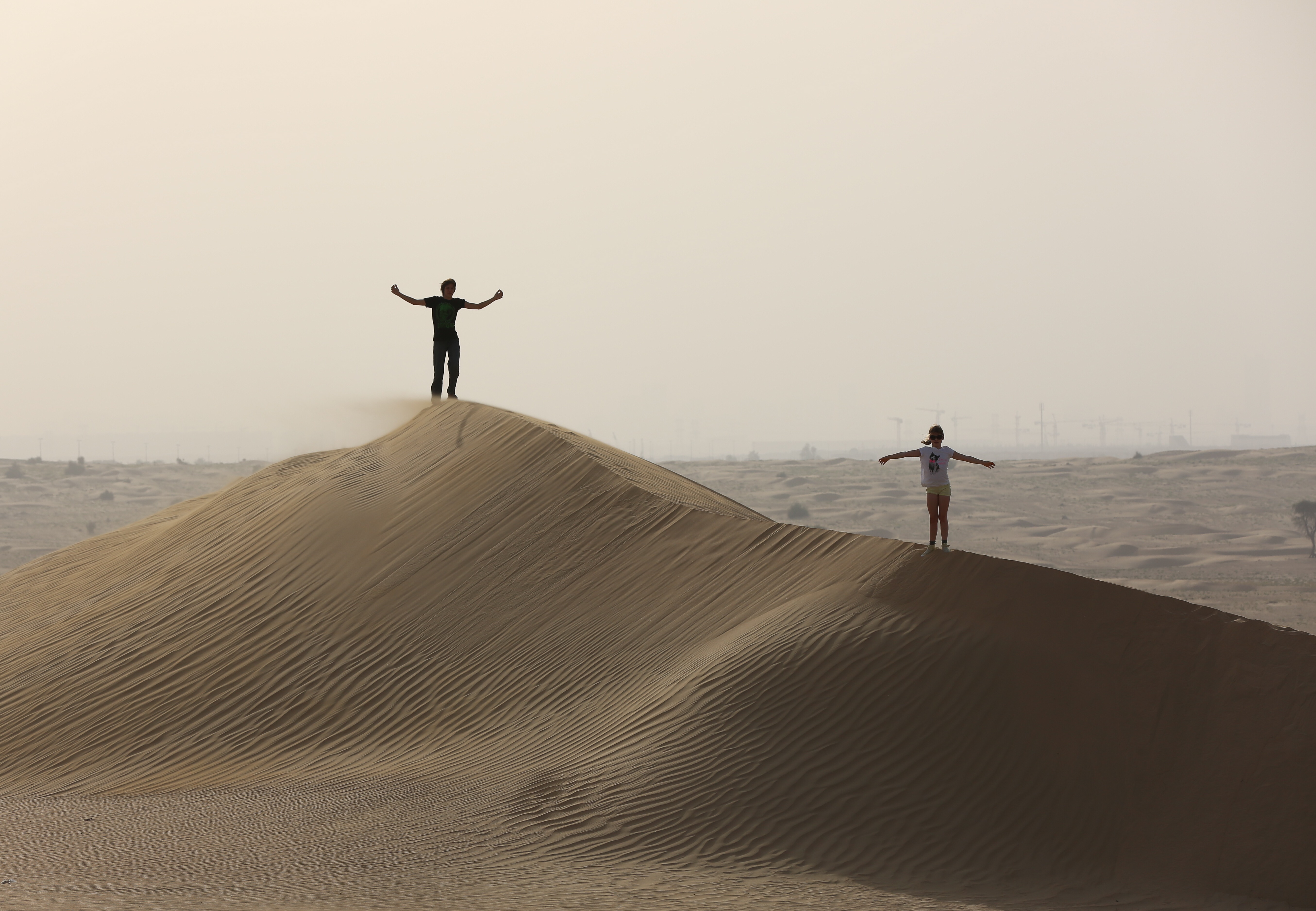 Dunes inside the Dubai Desert Conservation Reserve