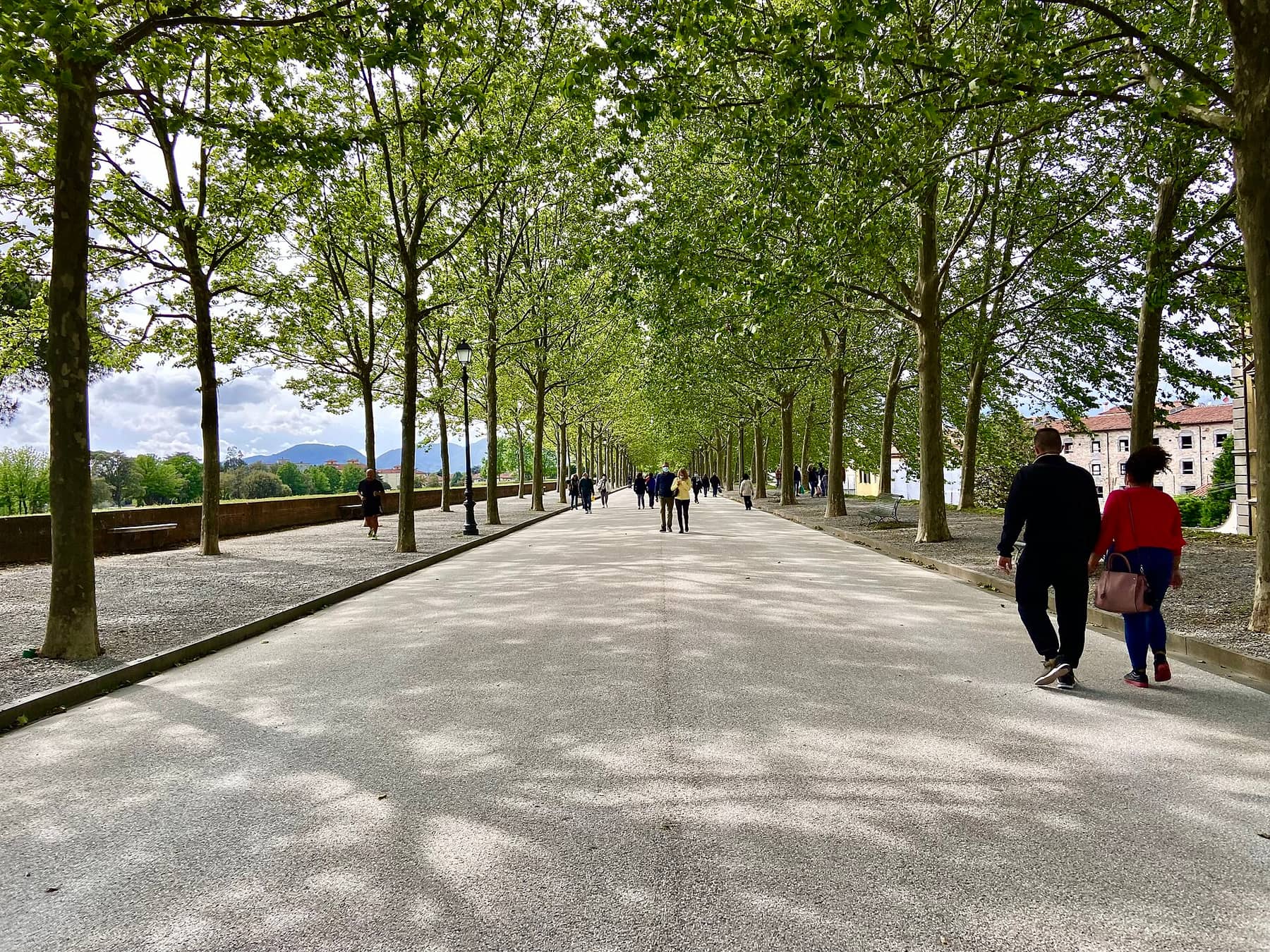 Walkers on the wide, tree-lined promenade along the top of Lucca’s walls