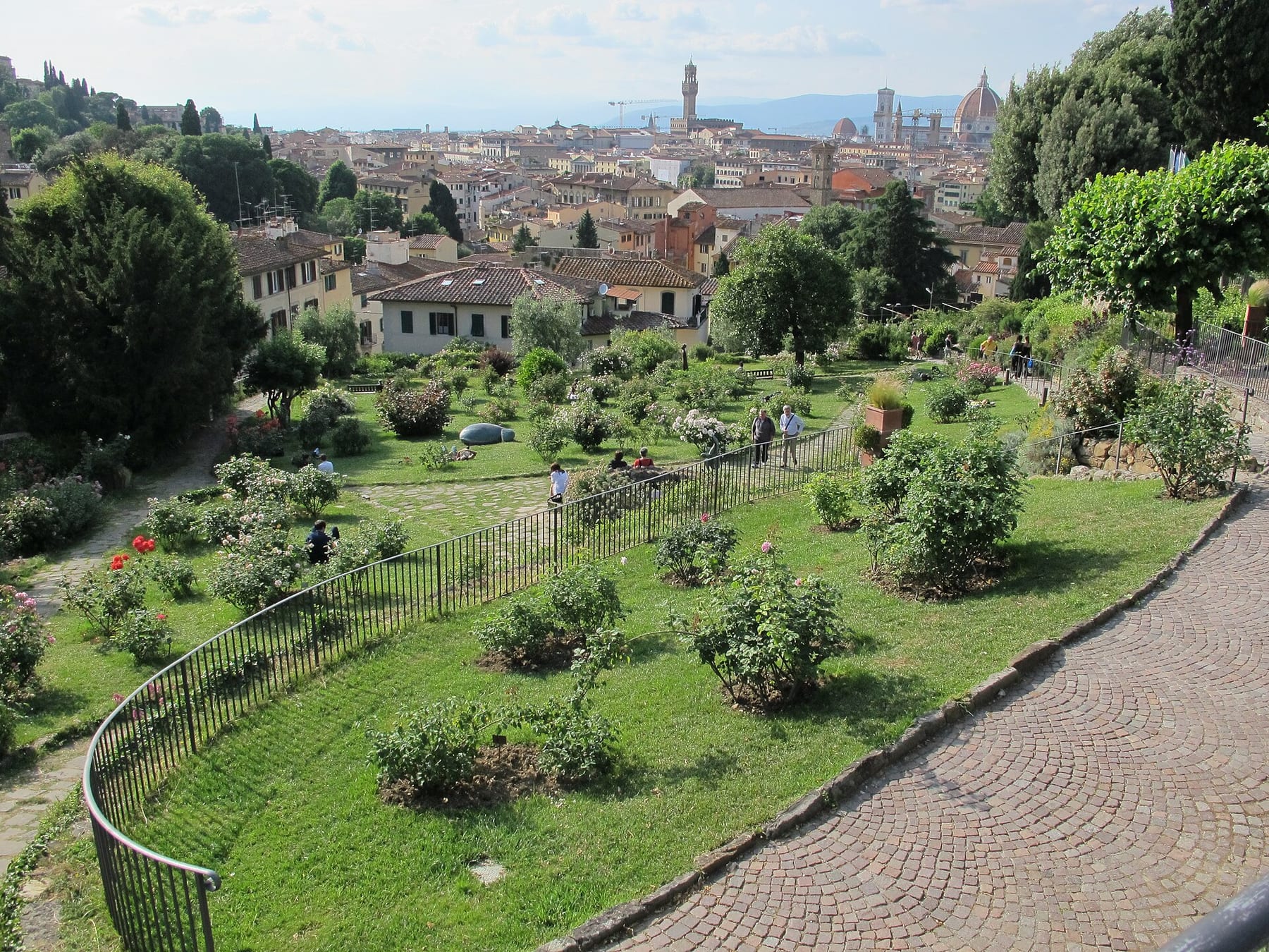 Rose beds on the terraces of the Giardino delle Rose, with the Florence skyline and the Duomo dome beyond