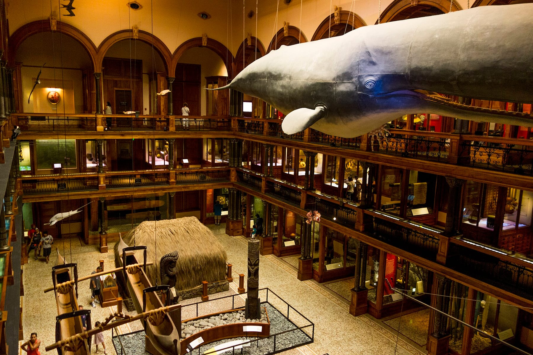 The Hawaiian Hall atrium at the Bishop Museum, with a hanging whale model above a thatched house and a canoe on the gallery floor, one of the three ticketed visits on this page