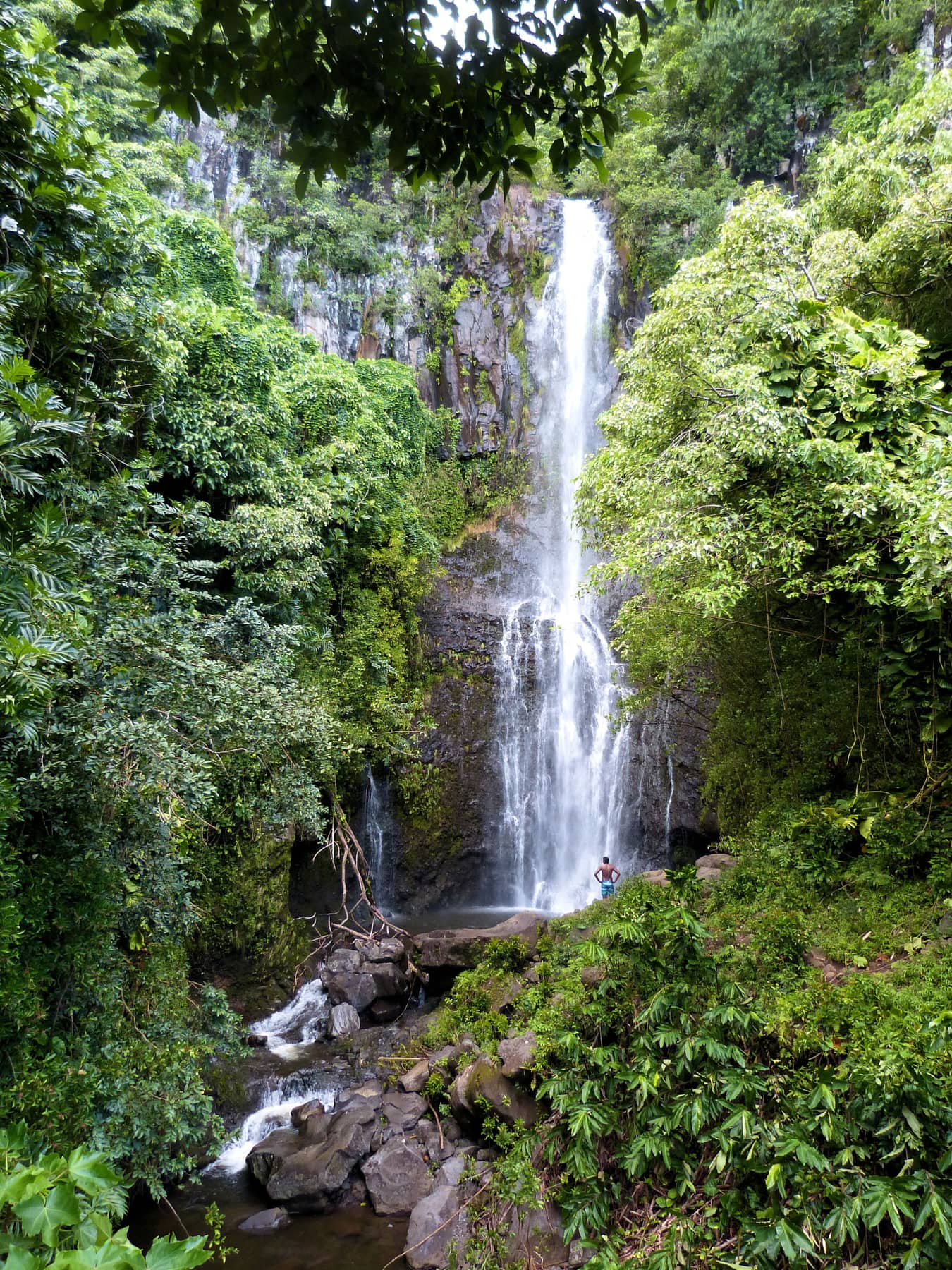 A tall waterfall falling through dense green jungle on Maui’s Hana coast