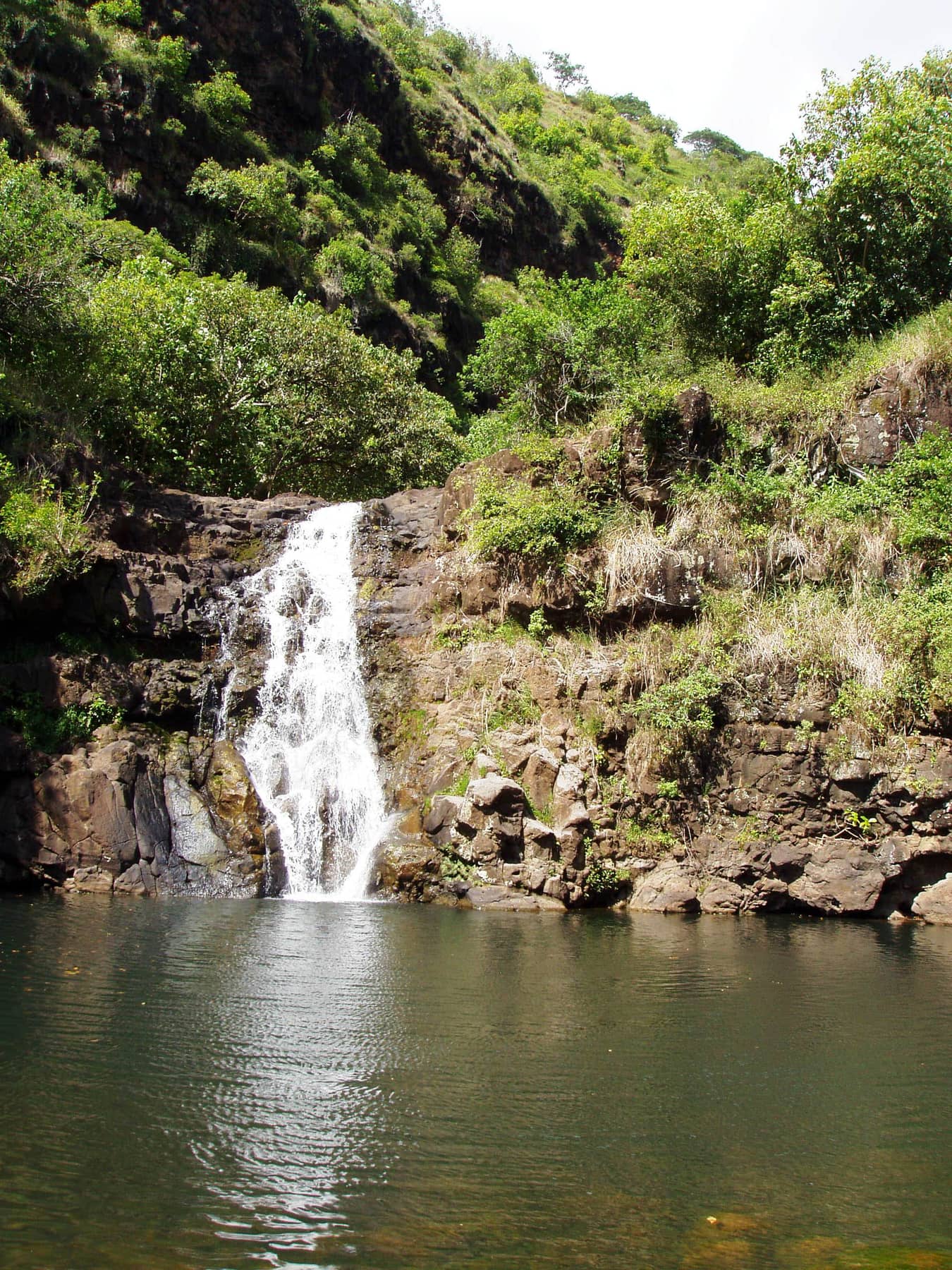 A waterfall dropping over dark rock into a still green pool in Waimea Valley on Oahu’s North Shore