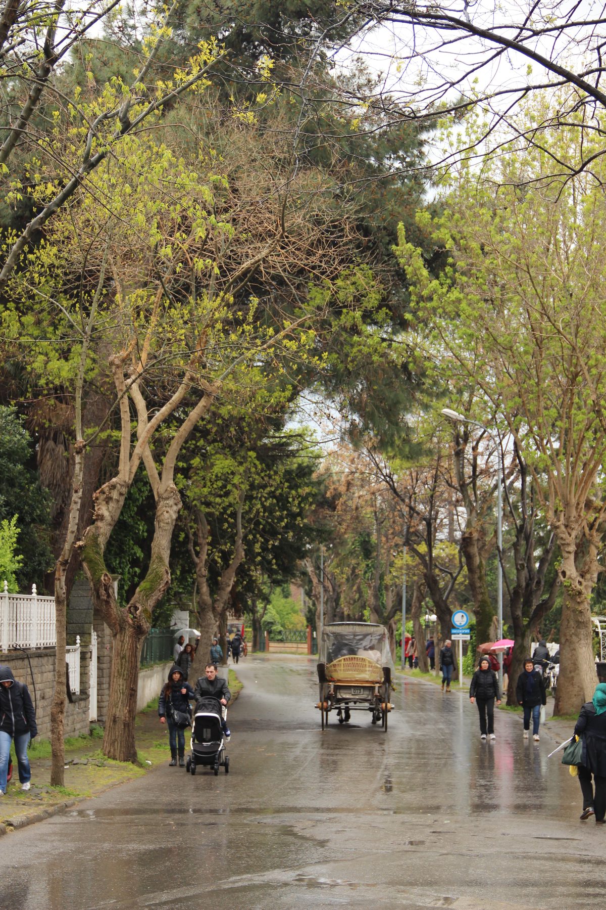 A quiet lane past old wooden houses on Büyükada, the largest of the Princes’ Islands