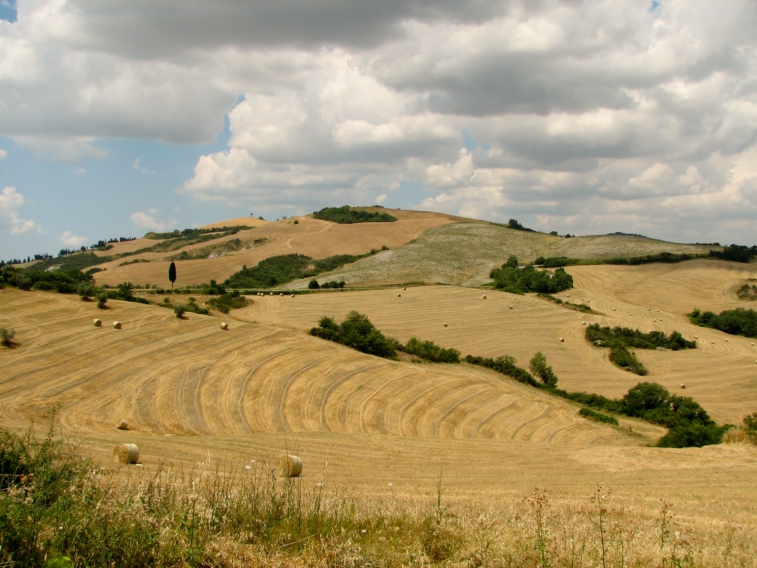 Campagne toscane bordée de cyprès près de Sienne