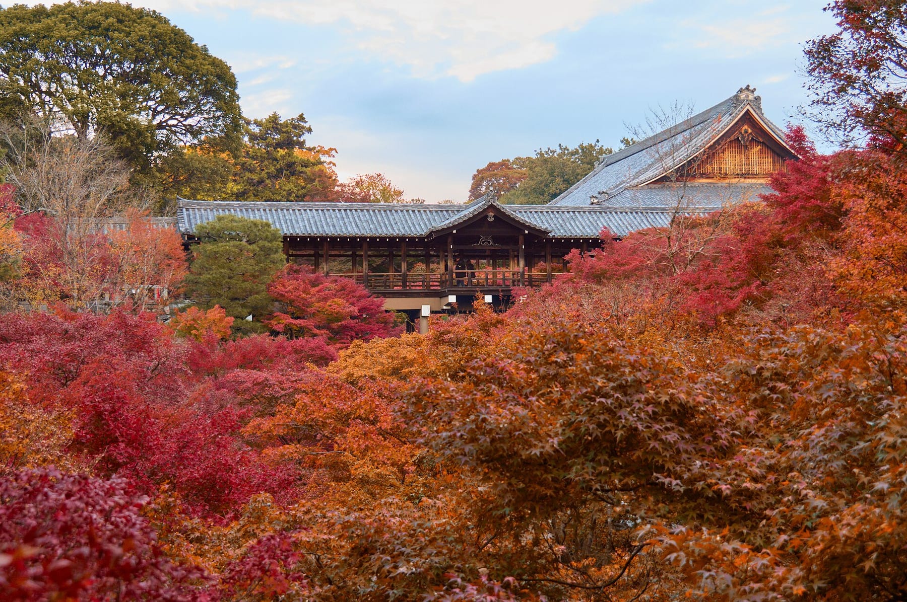 The Tsutenkyo covered bridge at Tofuku-ji above a hillside of red and orange maples, Kyoto