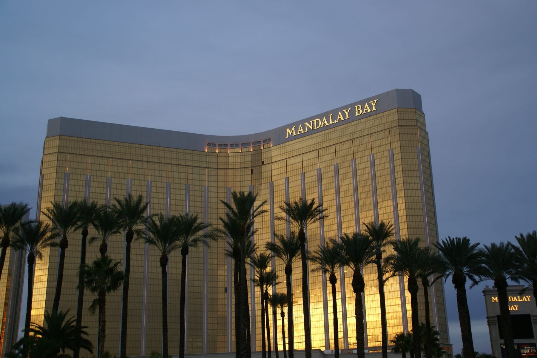 The gold-glass Mandalay Bay tower at dusk, with palm trees in front