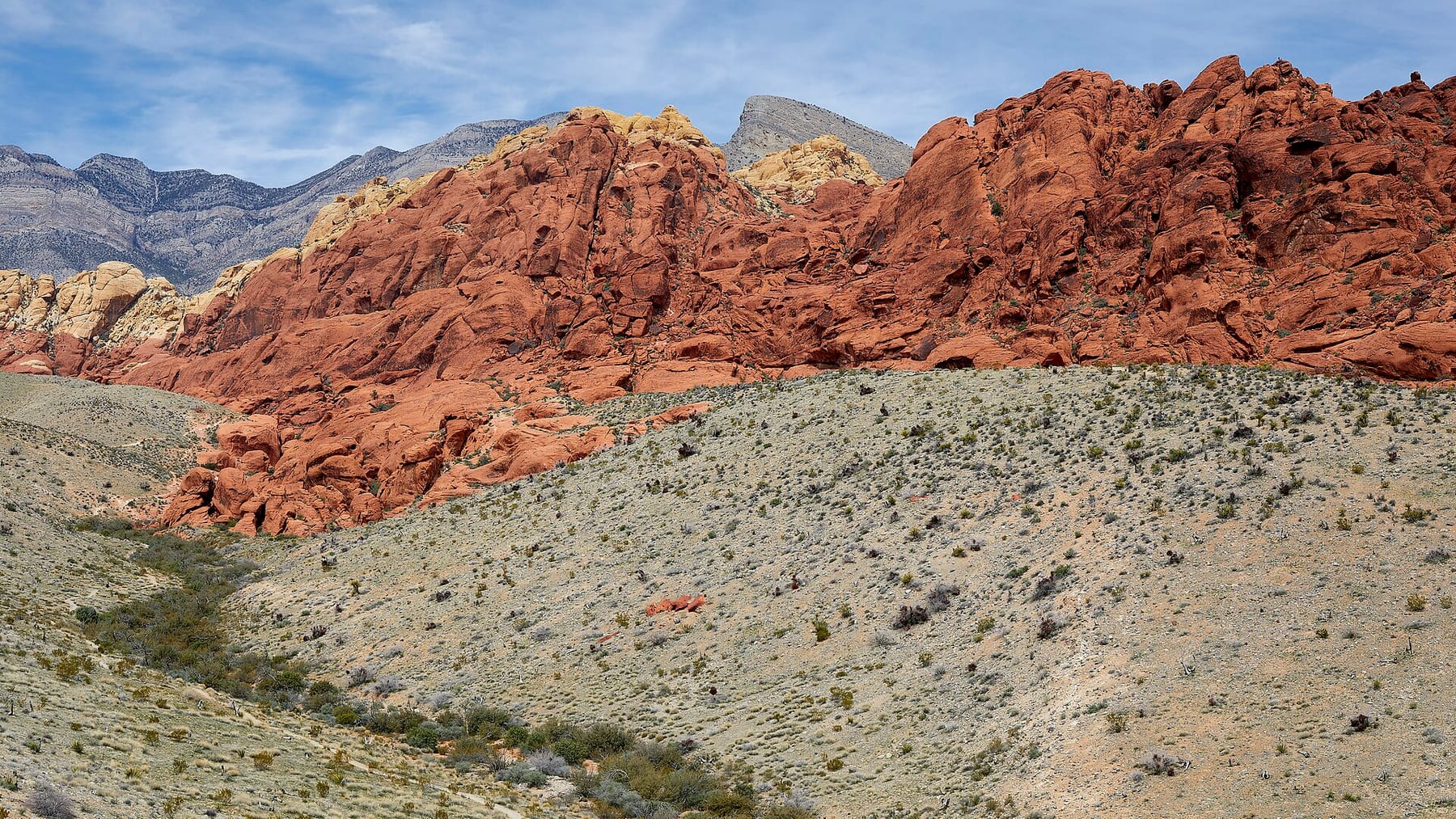 Red and cream sandstone of the Calico Hills seen from the Scenic Loop Drive at Red Rock Canyon