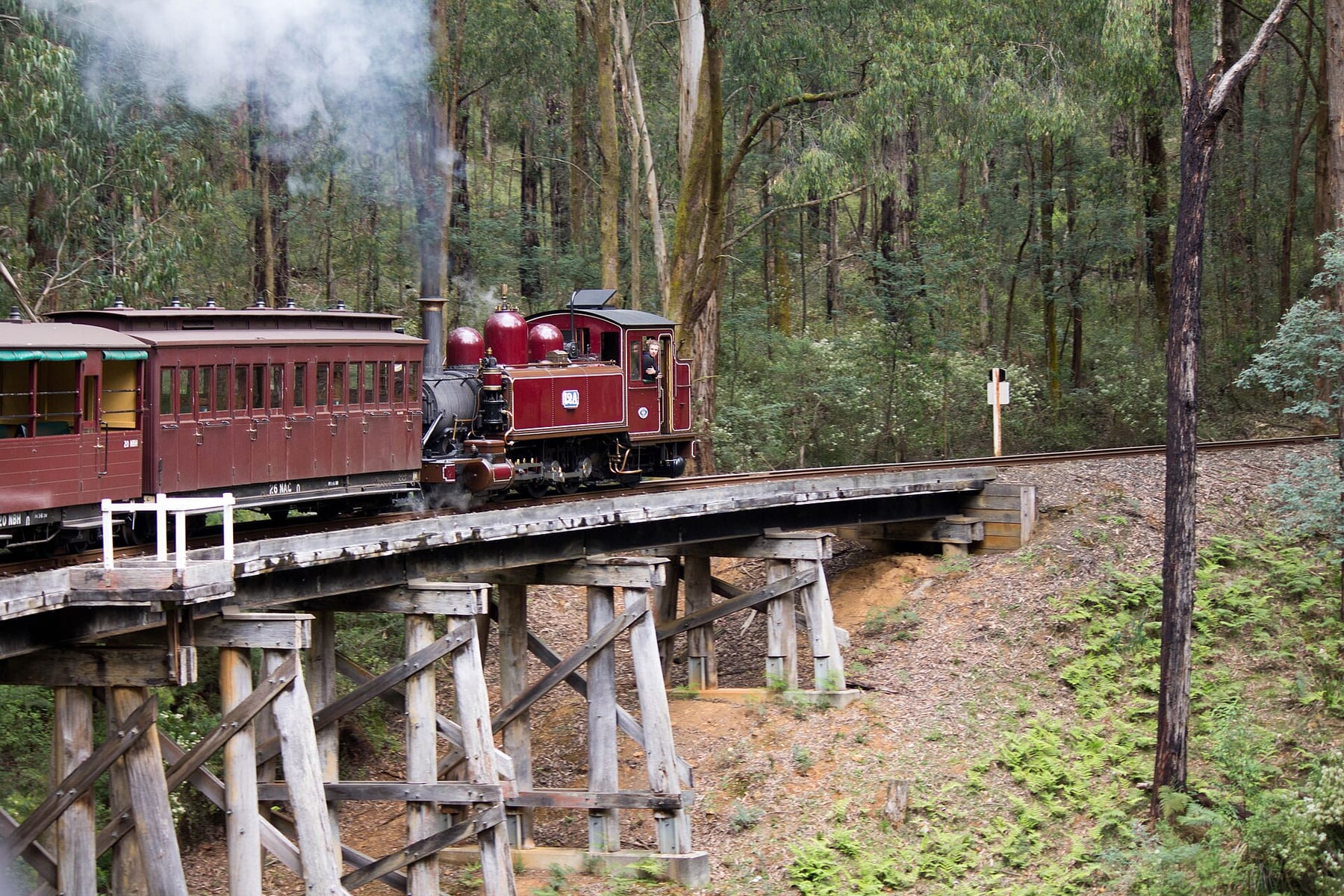A Puffing Billy steam locomotive and its carriages crossing the Monbulk Creek Trestle Bridge in the Dandenong Ranges